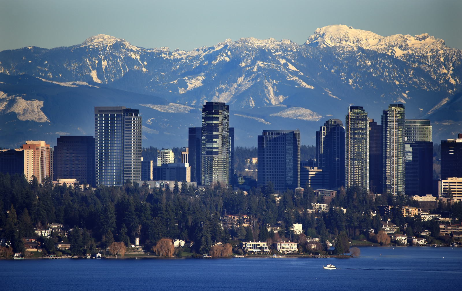 Making moves simple, fast, and stress-free for families and businesses across Bellevue, WA